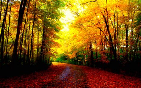 Beautiful Autumn Wallpapers - Wallpaper Cave