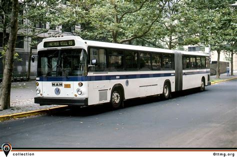 1983 MTA MAN SG-310-16.5-2A Articulated | Metropolitan transportation ...