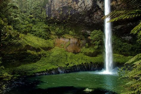 9 Beautiful Waterfalls In Fiji Worthy Of A Walk In The Woods