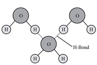 Hydrogen Bond - Meaning, Types And 9 Examples | Example NG