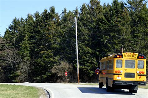 New York School Bus Driver Canned For Drinking White Claw