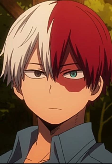 todoroki - Anime Trending | Your Voice in Anime!