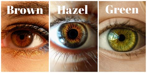 Hazel Eye Color Hex Code - img-Abedabun