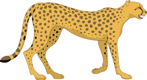 Cheetah clipart free images 3 – Clipartix