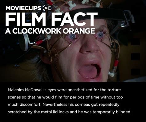 Clockwork Orange Movie Quotes. QuotesGram