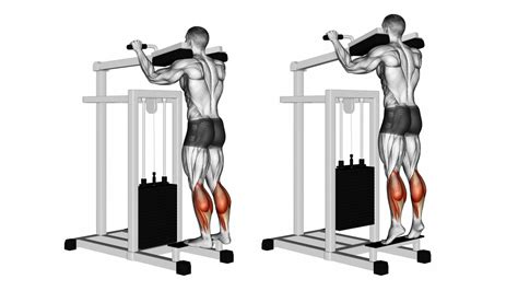 Standing Calf Raise Machine: How To Use, Benefits and Muscles Worked