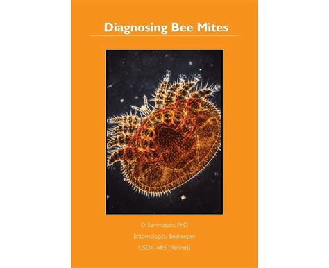 Diagnosing Bee Mites | Catch.co.nz