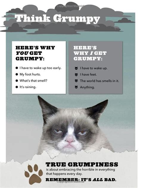 Grumpy Cat: A Grumpy Book | Grumpy Cat Book | In-Stock - Buy Now | at ...