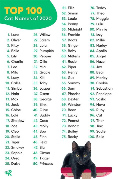 Cat Names for Black Cats