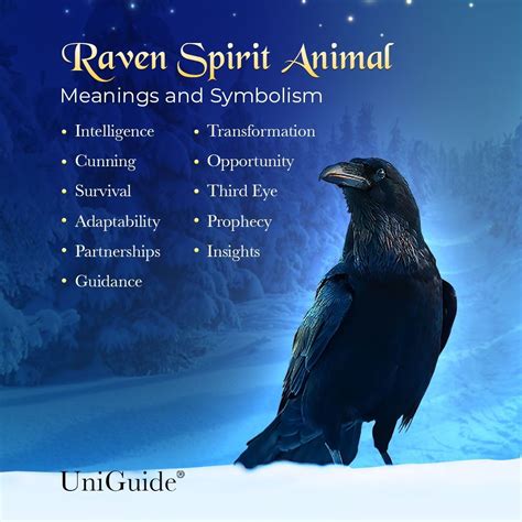 Raven Symbolism & Meaning & the Raven Spirit Animal | Raven spirit ...