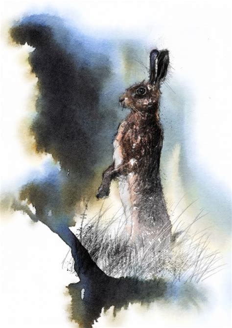 Brown hare standing | SeanBriggs