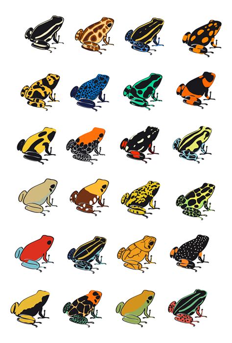 Templating for Poison-Dart Frogs Illustrations on Pantone Canvas Gallery