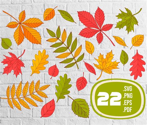 Autumn Leaves Svg Bundlefall Leaves Svgleaf Svg fall Leaf - Etsy