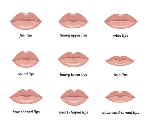 Perfect Lip Shape