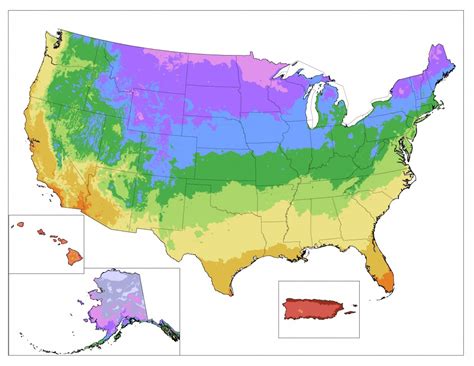 USDA updates hardiness zones - Honey Bee Suite