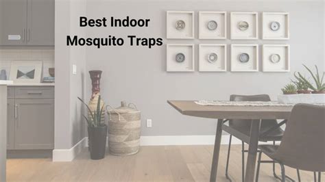 10 Best Indoor Insect Trap - Best Reviews Data