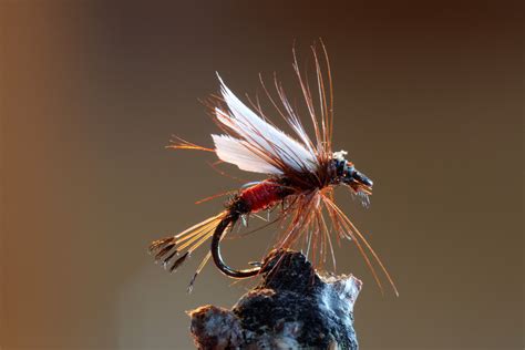 Best Fly Fishing Flies For Trout, Salmon & Bass 2018 Reviews