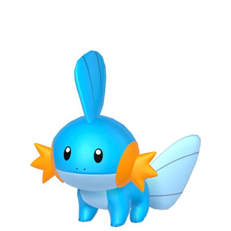 Mudkip • Generation VIII Pokédex • Marriland.com