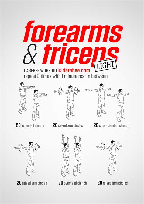 Forearms & Triceps Workout