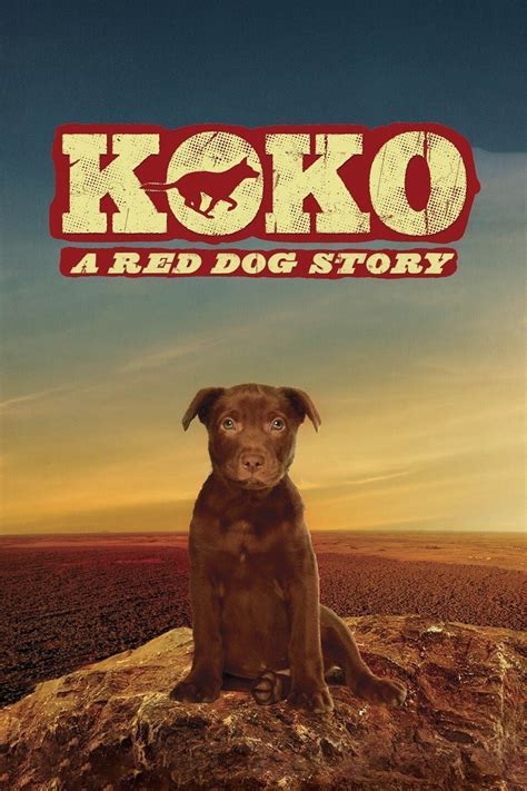 Koko: A Red Dog Story (2019) - Posters — The Movie Database (TMDB)