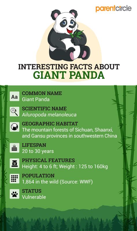 Giant Panda Habitat Facts