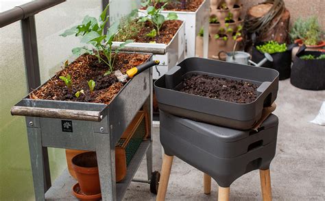 Dammann's Garden Company – Worm Composting for Your Garden