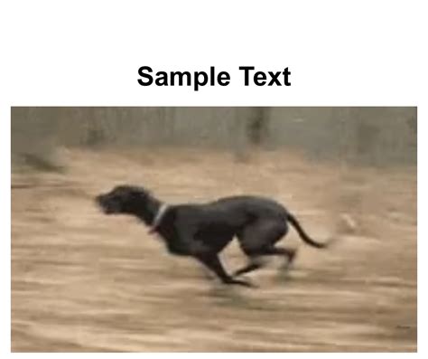 Dog running gif template Animated Gif Maker - Piñata Farms - The best ...