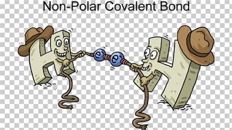 Polar Covalent Bond Chemical Bond Ionic Bonding Chemical Polarity PNG ...