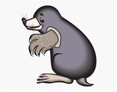 Mole Animal Clip Art, HD Png Download - kindpng