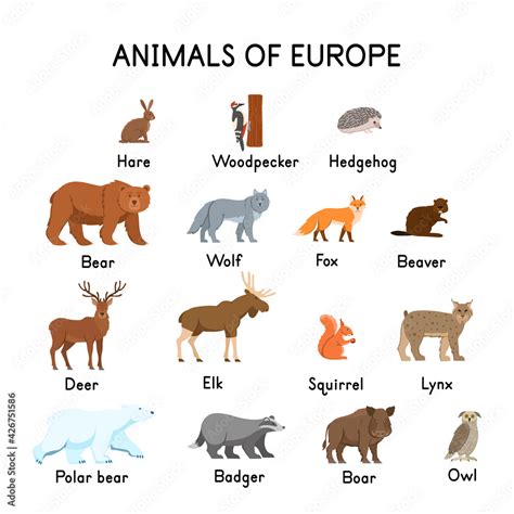 Animals of Europe : hare, woodpecker, hedgehog, bear, wolf, fox, beaver ...