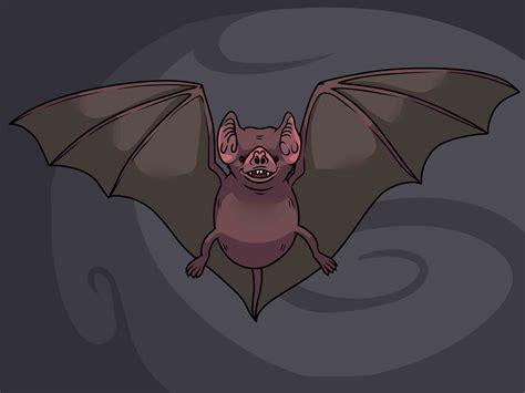 How to Draw a Bat (with Pictures) - wikiHow