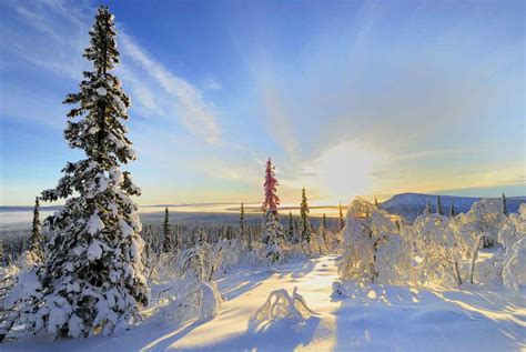 Wonders of Sweden in Winter: A Comprehensive Travel Guide