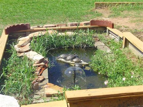 GREAT IDEA FOR ENCLOSING THE TURTLE POND | garden | Pinterest