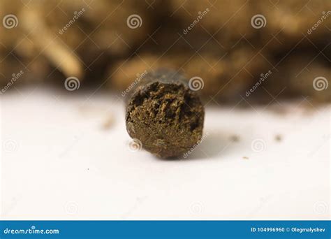 Indian Hemp and Hashish Cannabis Stock Photo - Image of macro, concept ...