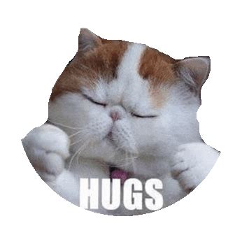 Hugs Sticker by imoji for iOS & Android | GIPHY