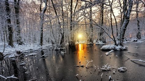 nature, Landscape, Cold, Winter, Sunrise, Snow, Forest, Frost, Sunlight ...