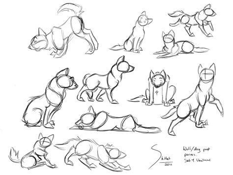 dog poses - Google Search Drawing Reference Poses, Drawing Poses, Art ...