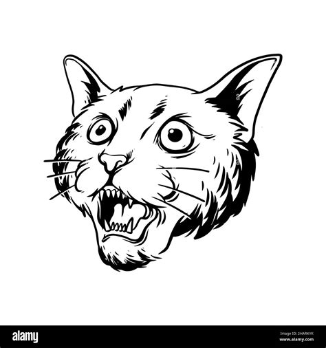 an angry cat illustration. a hand drawn illustration of a wild animal ...