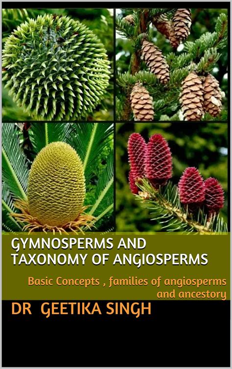 GYMNOSPERMS AND TAXONOMY OF ANGIOSPERMS: Basic Concepts , families of ...