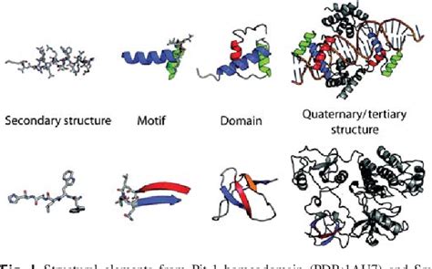 [PDF] Protein folds and protein folding. | Semantic Scholar