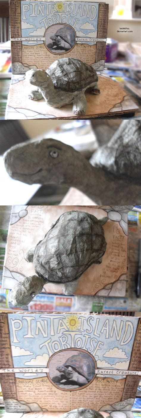 Pinta Island Tortoise by charlottei on DeviantArt