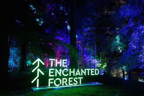 THE ENCHANTED FOREST WILL RE-OPEN TO VISITORS TONIGHT - The Enchanted ...