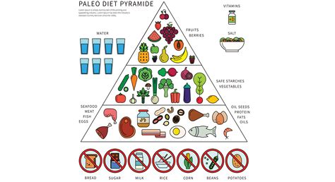 Régime paléo et microbiote intestinal : des changements inappropriés ...