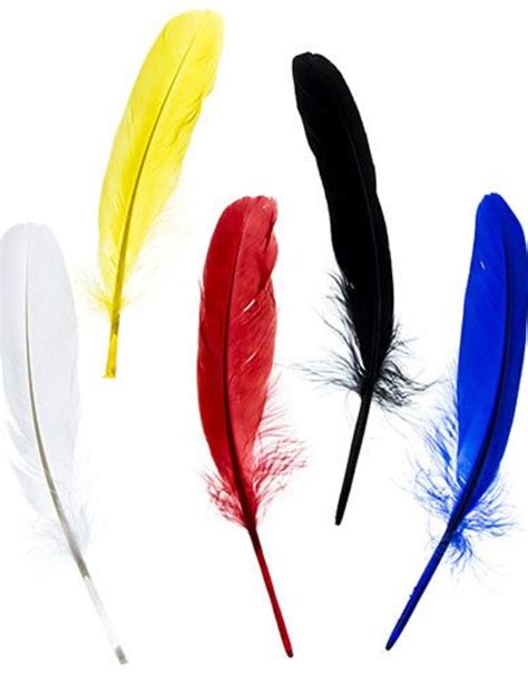 Goose Feathers 5-6 Inches Assorted Colours (10 pieces) - Samaroo's Limited