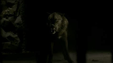 Tyler Lockwood | Werewolves Wiki | FANDOM powered by Wikia