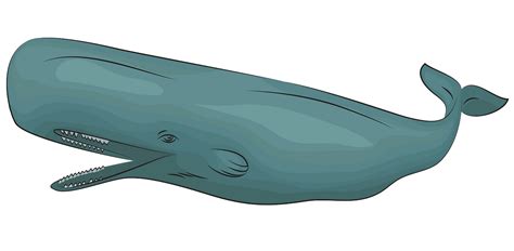 Free Sperm Whale Cliparts, Download Free Sperm Whale Cliparts png ...