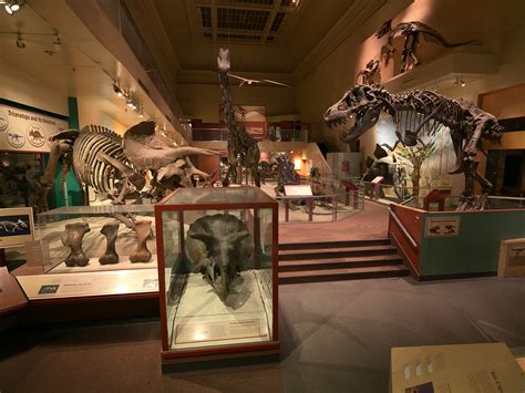 National Museum of Natural History’s Dinosaur and Fossil Hall Closure ...