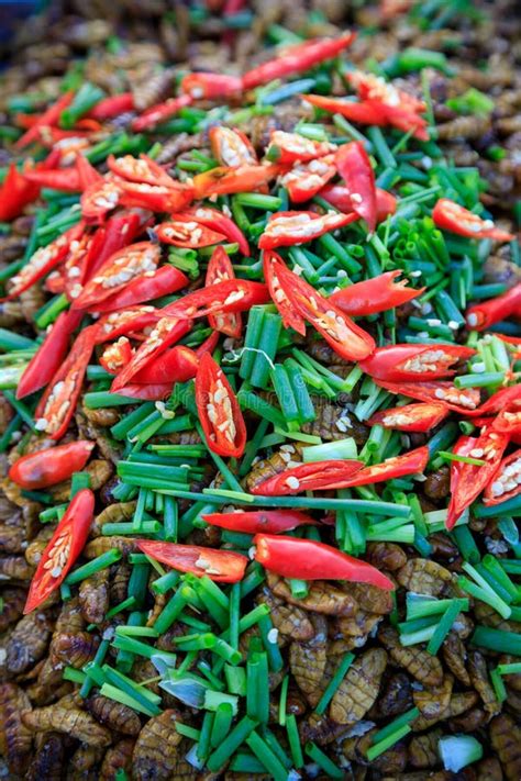 Fried Insects Bugs Street Food Stock Photo - Image of cambodian, nature ...