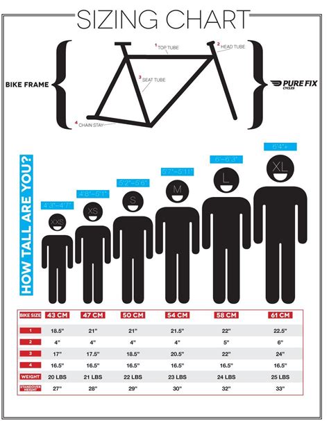 Cycle Frame Size Chart What Size Bike Are You?