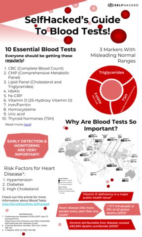 10 Essential Blood Tests Everyone Should Get Regularly - SelfDecode Labs